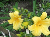 b5e08a3c-Picture 005.jpg